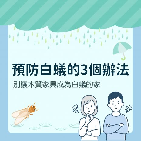 預防白蟻的3個辦法